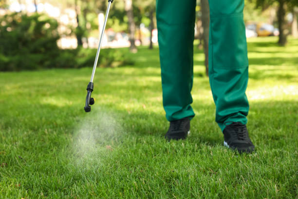Best Residential Pest Control  in Manning, IA