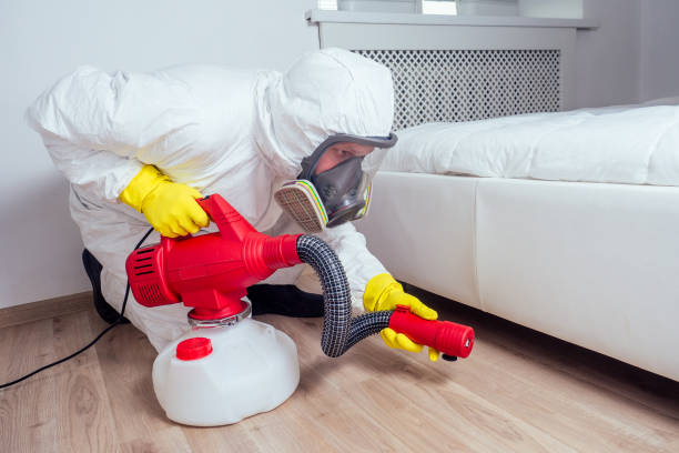 Best Best Pest Control Companies  in Manning, IA