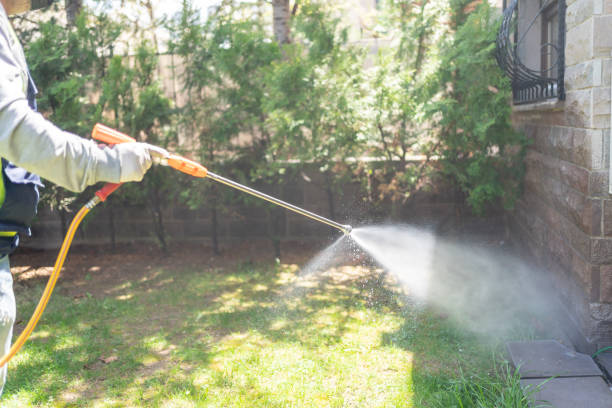 Best Pest Control for Restaurants  in Manning, IA