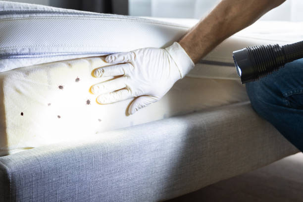 Best Affordable Pest Control Services  in Manning, IA
