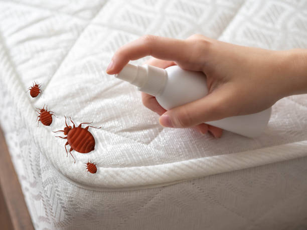 Professional Pest Control in Manning, IA
