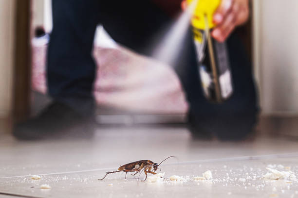 Best Bed Bug Extermination  in Manning, IA